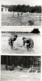 Fotografia archiwalna